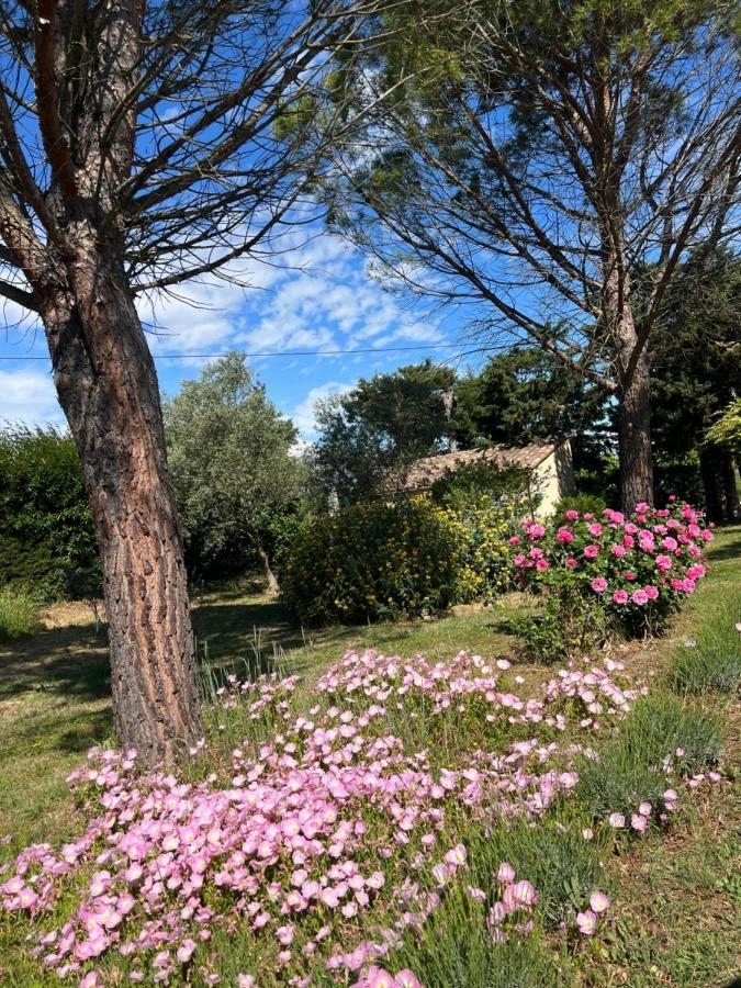 Mas De L'Estiou Daire Monteux Dış mekan fotoğraf